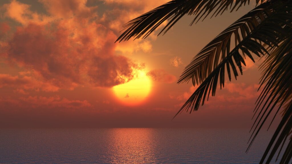 Sonnenuntergang über dem Meer mit orangefarbenem Himmel und Palmenblättern im Vordergrund